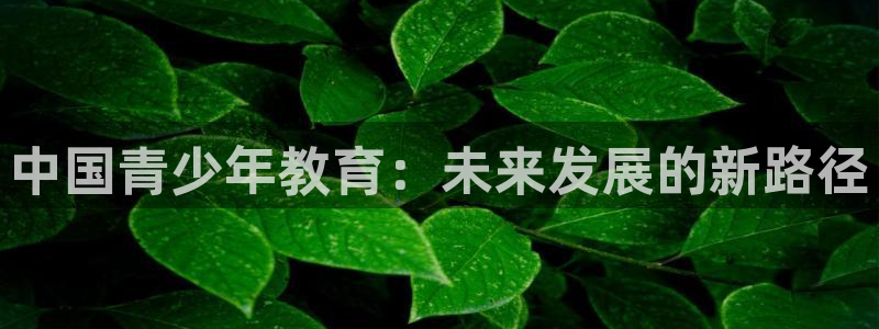 fh至尊平