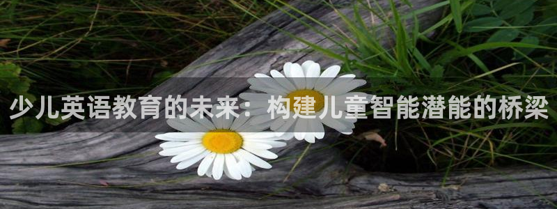 FH至尊公安