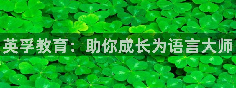FH至尊平台登录