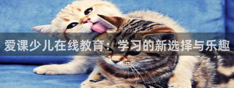 fh至尊为什么不更新了