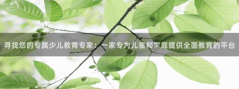 fh至尊手机端进不去
