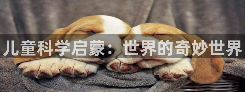 fh至尊最新版本