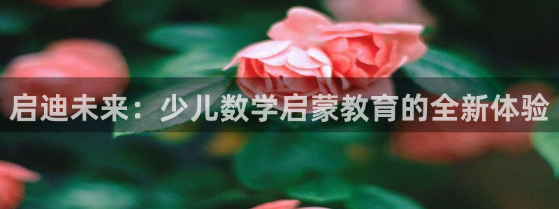 fh至尊平台安全密码忘记了